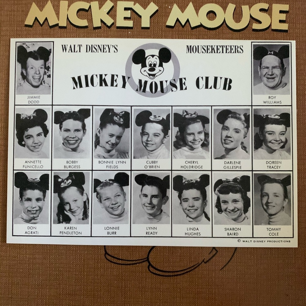 Large Disney Postcard